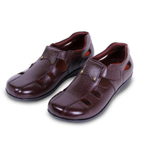 Stepwise Atlas - Brown 2