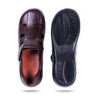 Stepwise Atlas - Brown 4