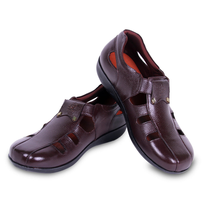 Stepwise Atlas - Brown
