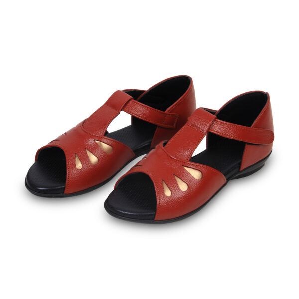 Step in Style: Designer Diabetic Footwear for Women (DDF LR003) - Brown - Image 2