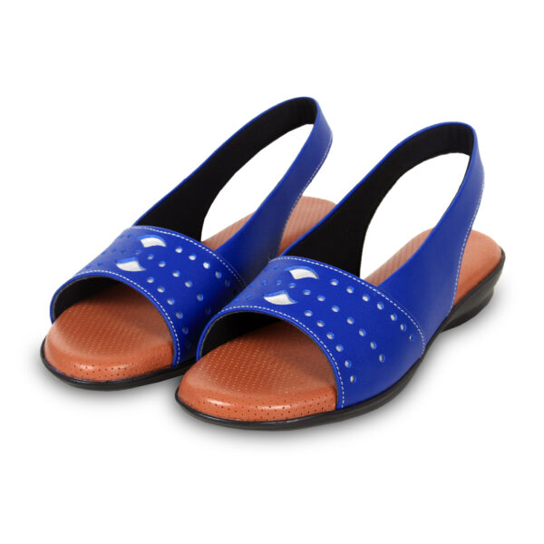 Step in Style: Designer Diabetic Footwear for Women (DDF LR001) - Blue - Image 2