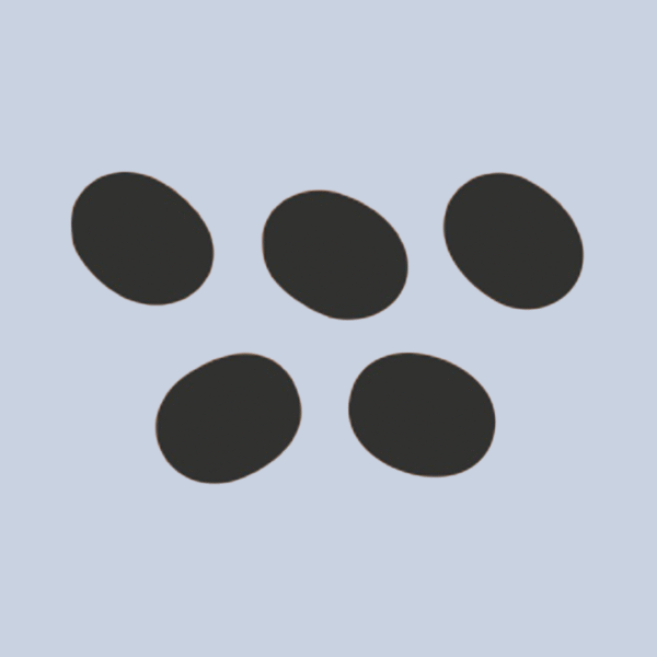 Spot Cushion